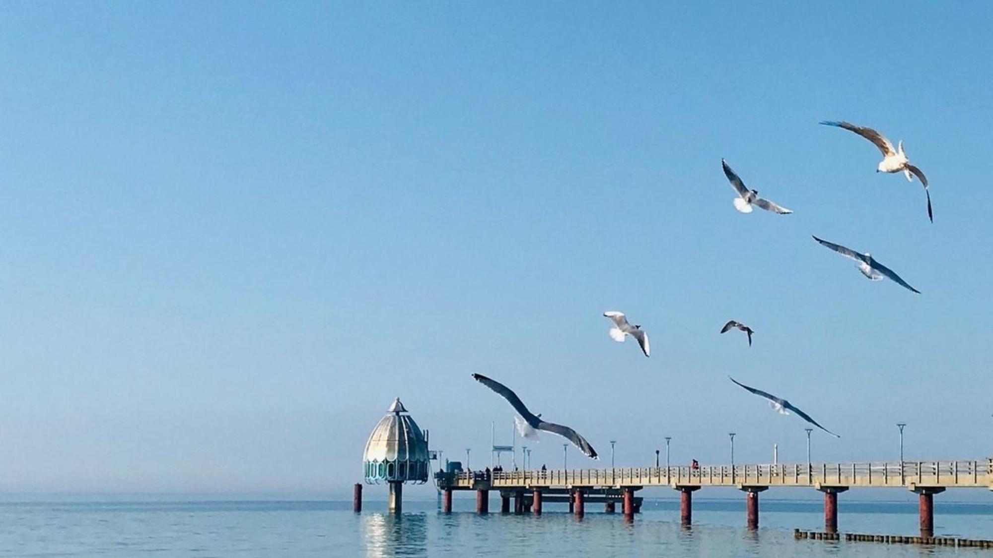 Adele Daire Zingst Dış mekan fotoğraf