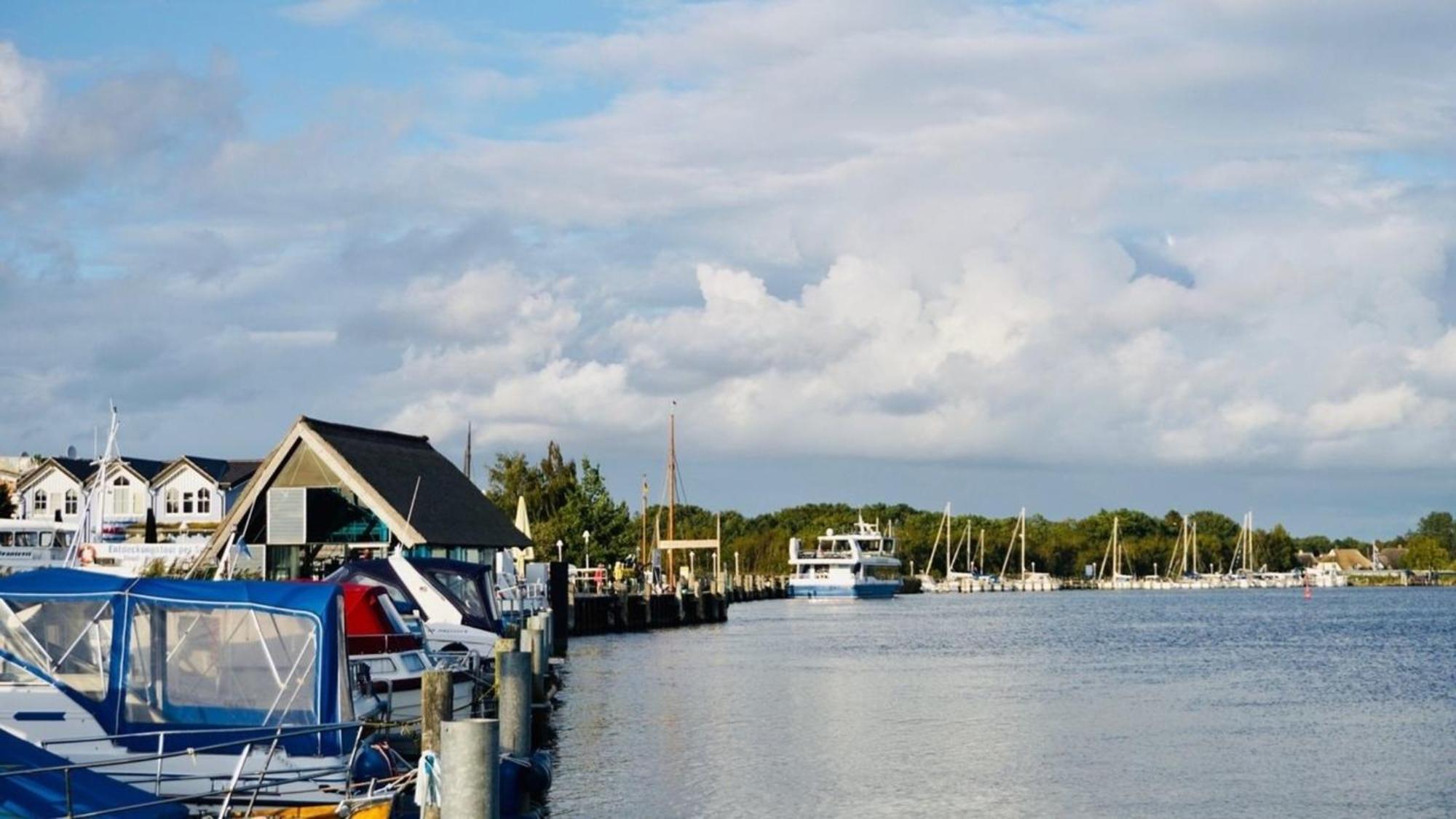 Adele Daire Zingst Dış mekan fotoğraf